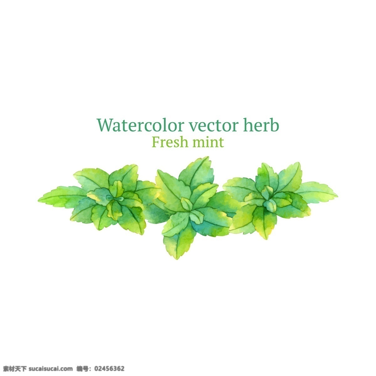 时尚 手绘 清新 植物 插画 绿色 水彩绘 叶子