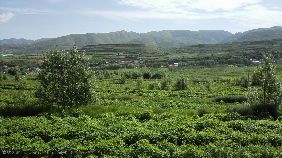 山区绿化地 山地 丘陵地 台地 树林 绿化 景色 自然景观 田园风光