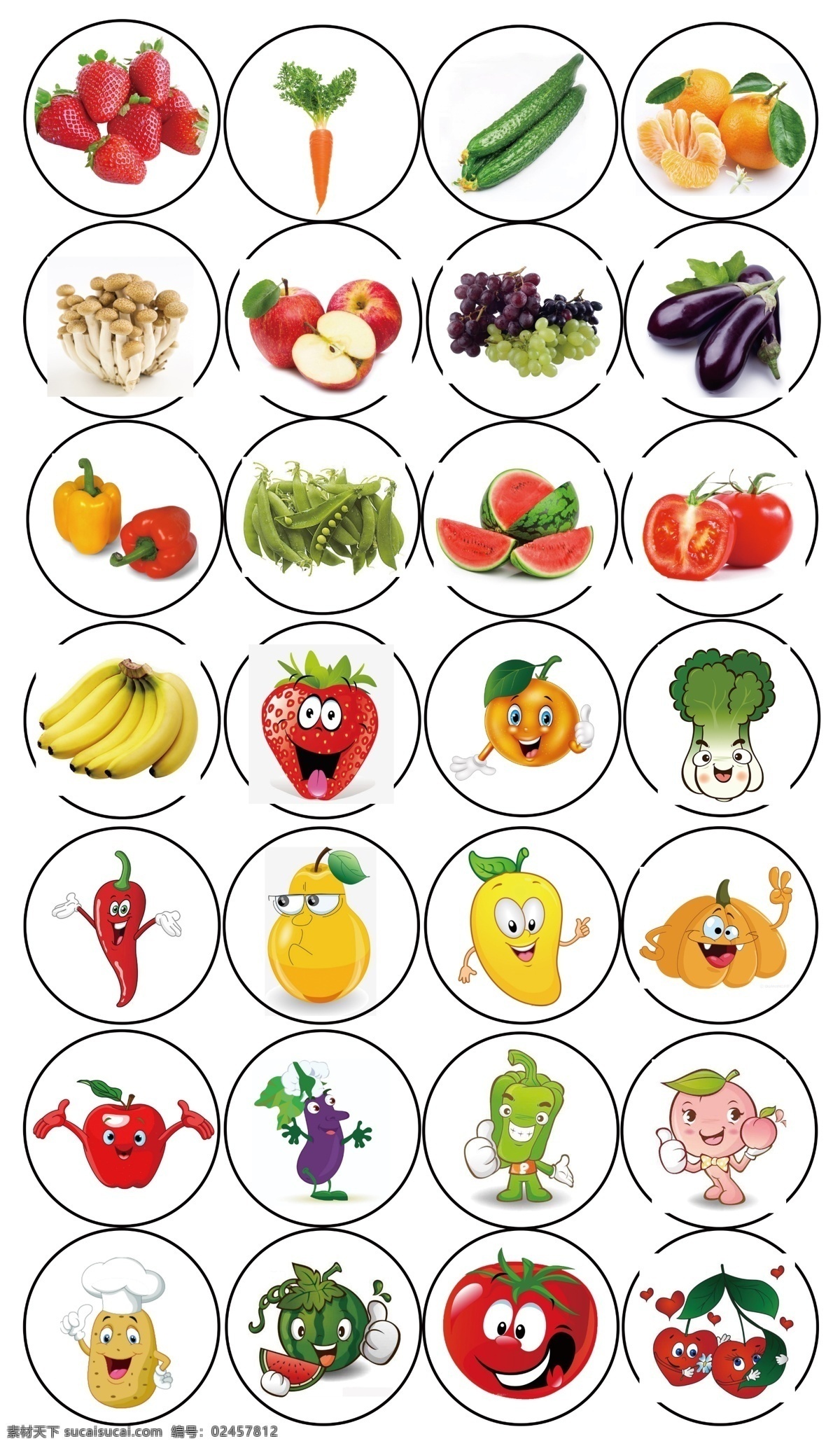 蔬菜水果大全 蔬菜水果 蔬菜 水果 汇总 大全 分层