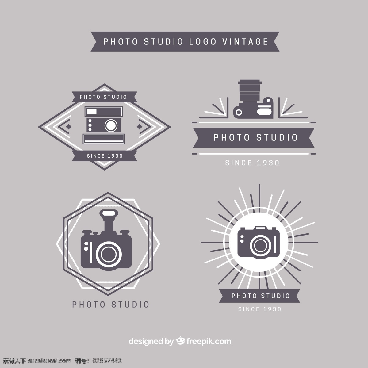 工作室 标志 集 标识 古董 商业 相机 复古 几何 复古标志 照片 多边形 平面 丝带 数码 公司 品牌 六角 摄影师 企业形象 灰色