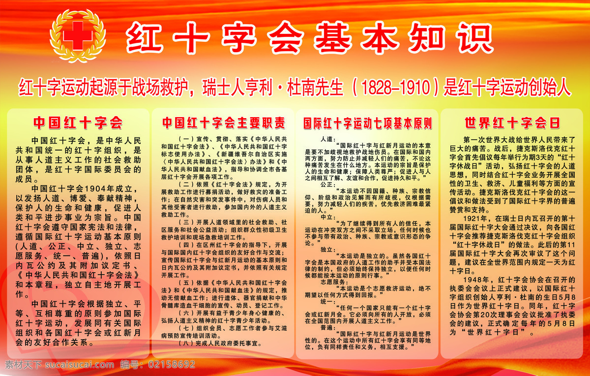 红十字会 基本知识 红 十字会 分层