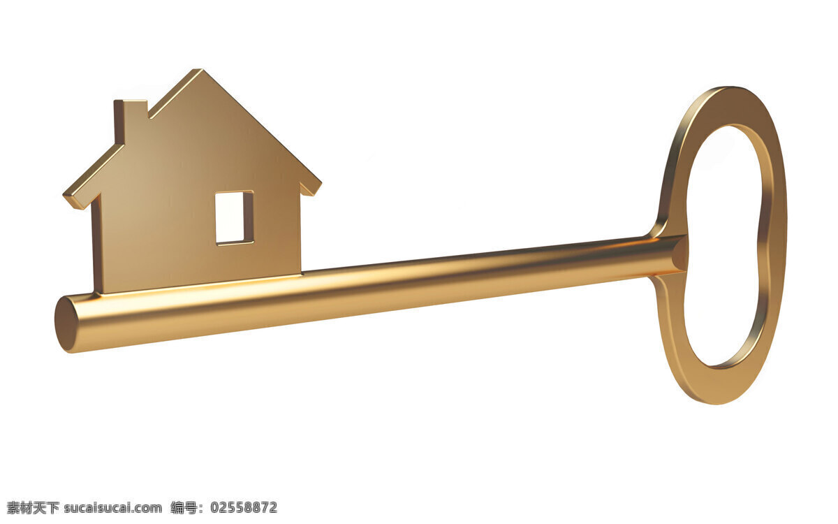 金钥匙 金 房子 金色房子 商务场景 商务金融
