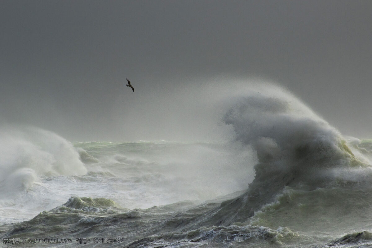 风高浪急 海浪 大海 海鸥 海鸟 桌面 背景 摄影专辑 自然景观 自然风景
