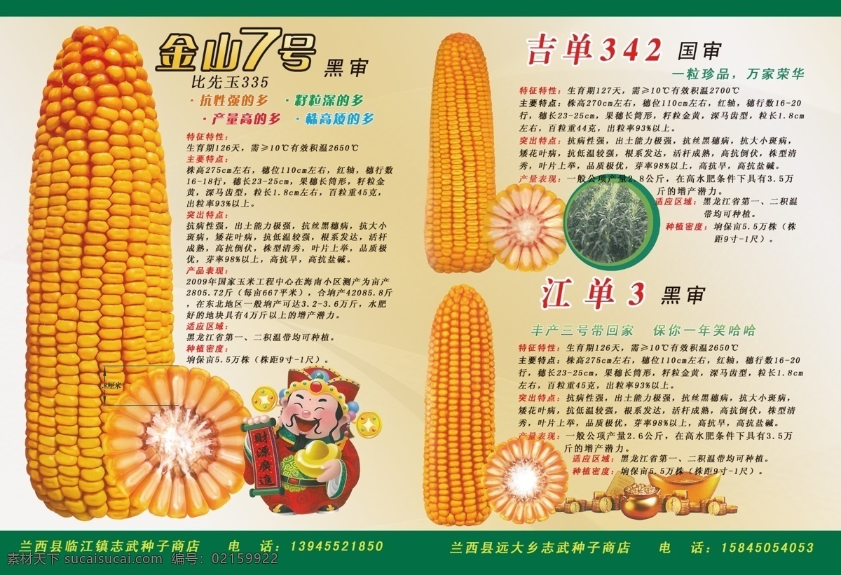 玉米传单 玉米 玉米芯 浅色 农资 玉米介绍 传单 彩页 广告 玉米粒 大田种子 化肥 良种 质量 dm宣传单 广告设计模板 源文件