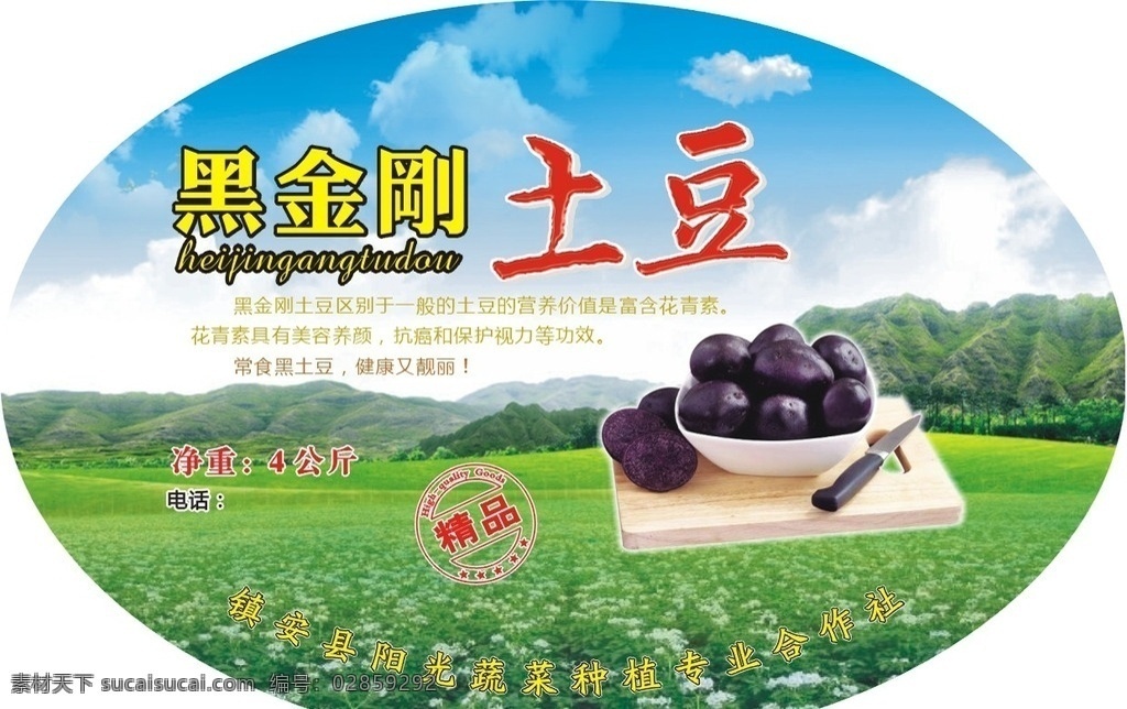 土豆 土豆便签 黑金刚土豆 蓝天 白云 绿地 木质案板 精品