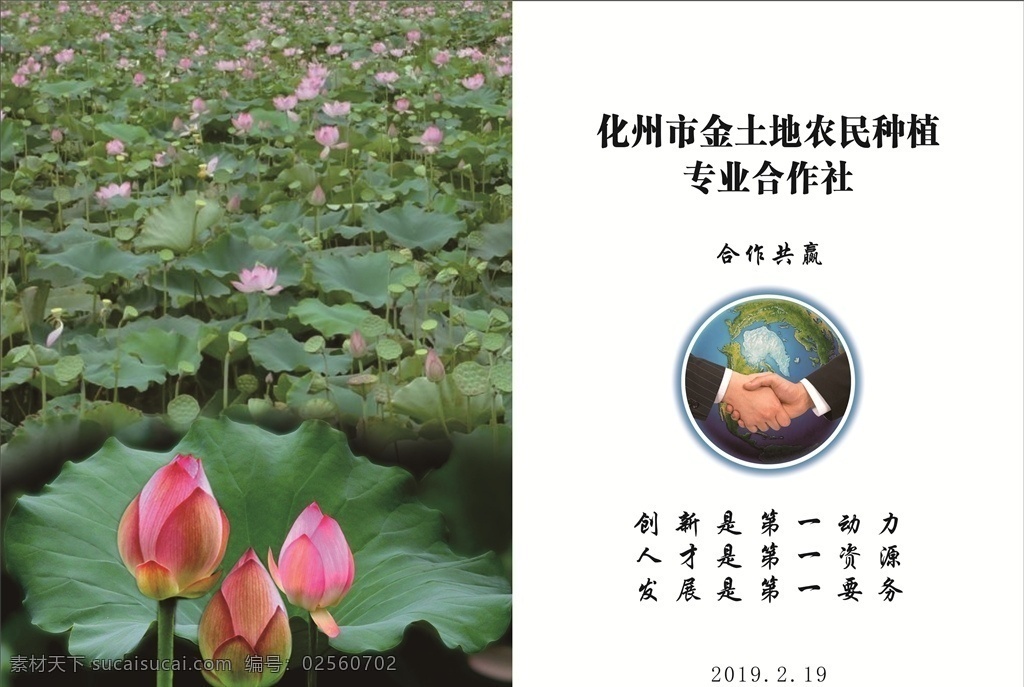 荷花种植标书 荷花 莲藕 荷叶 种植 计划书 标书 宣传手册 莲子 莲蓬 茶 花 说明书 田野 合作社 校园 名片