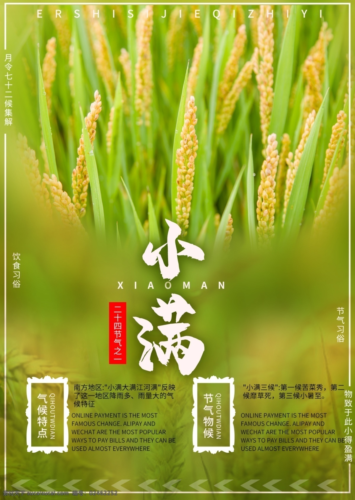 小满 海报 小满海报 商用 节气 节日
