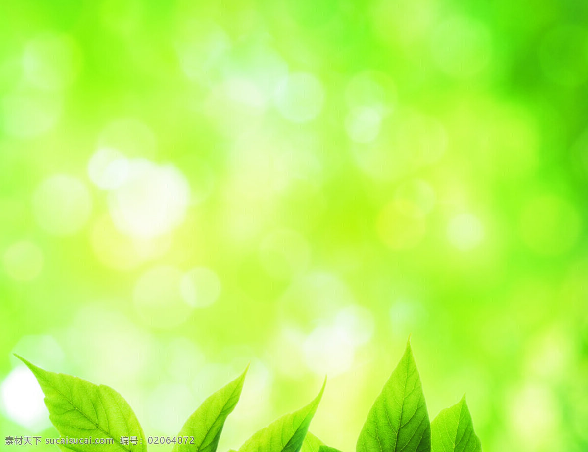 绿色背景 绿叶 光斑 梦幻 环保 清新 节能 底纹边框 背景底纹