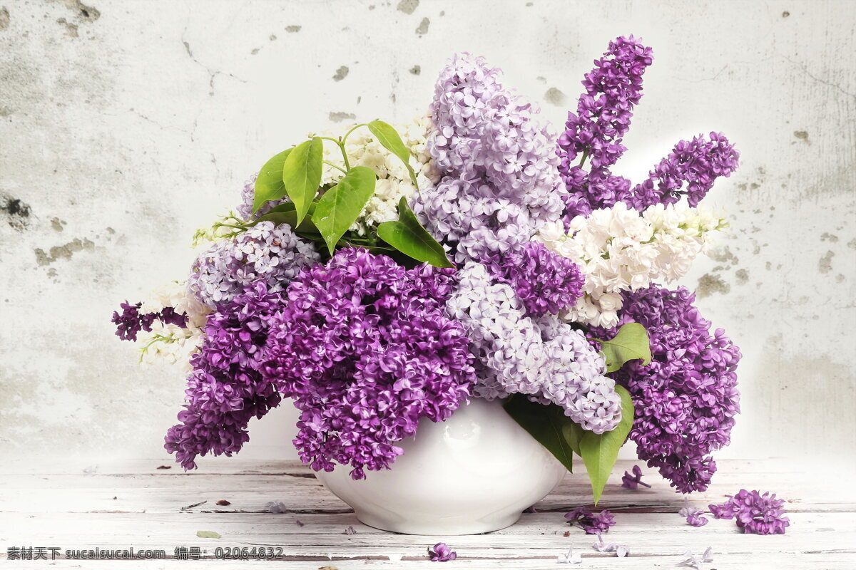 丁香花 清新 淡雅 花朵 鲜花 插花