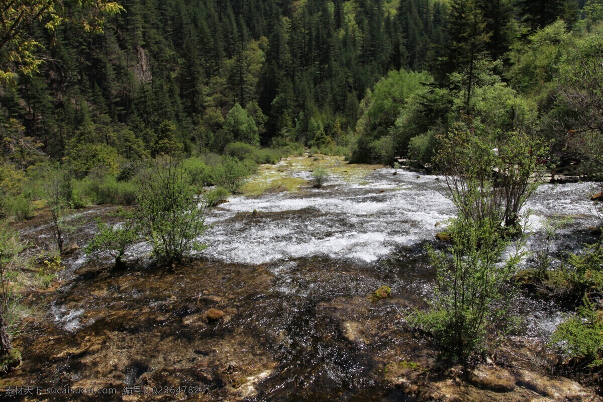 九寨沟 九寨山水 九寨 四川旅游 四川九寨沟 九寨沟风光 山水风景 自然景观