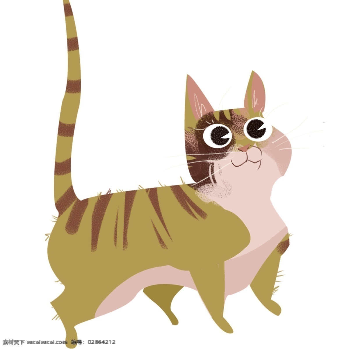 手绘 只 肥大 猫咪 动物 插画 萌宠 卡通设计