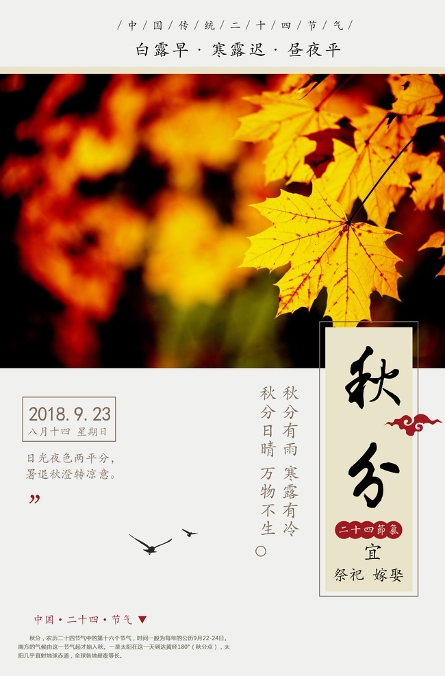 秋分海报图片 秋分海报 秋分 收获季节 丰收 凉爽 秋分广告 秋分展架 秋分文化 秋分背板 秋分背景 秋分手机 秋分招贴 秋分节气 立秋海报 秋天海报 秋分促销 节气海报 立春 雨水 惊蛰 春分 清明 谷雨 立夏 小满 芒种 夏至 小暑 大暑 处暑 白露 寒露 霜降 螃蟹 秋蟹 肥蟹 菊香 秋季