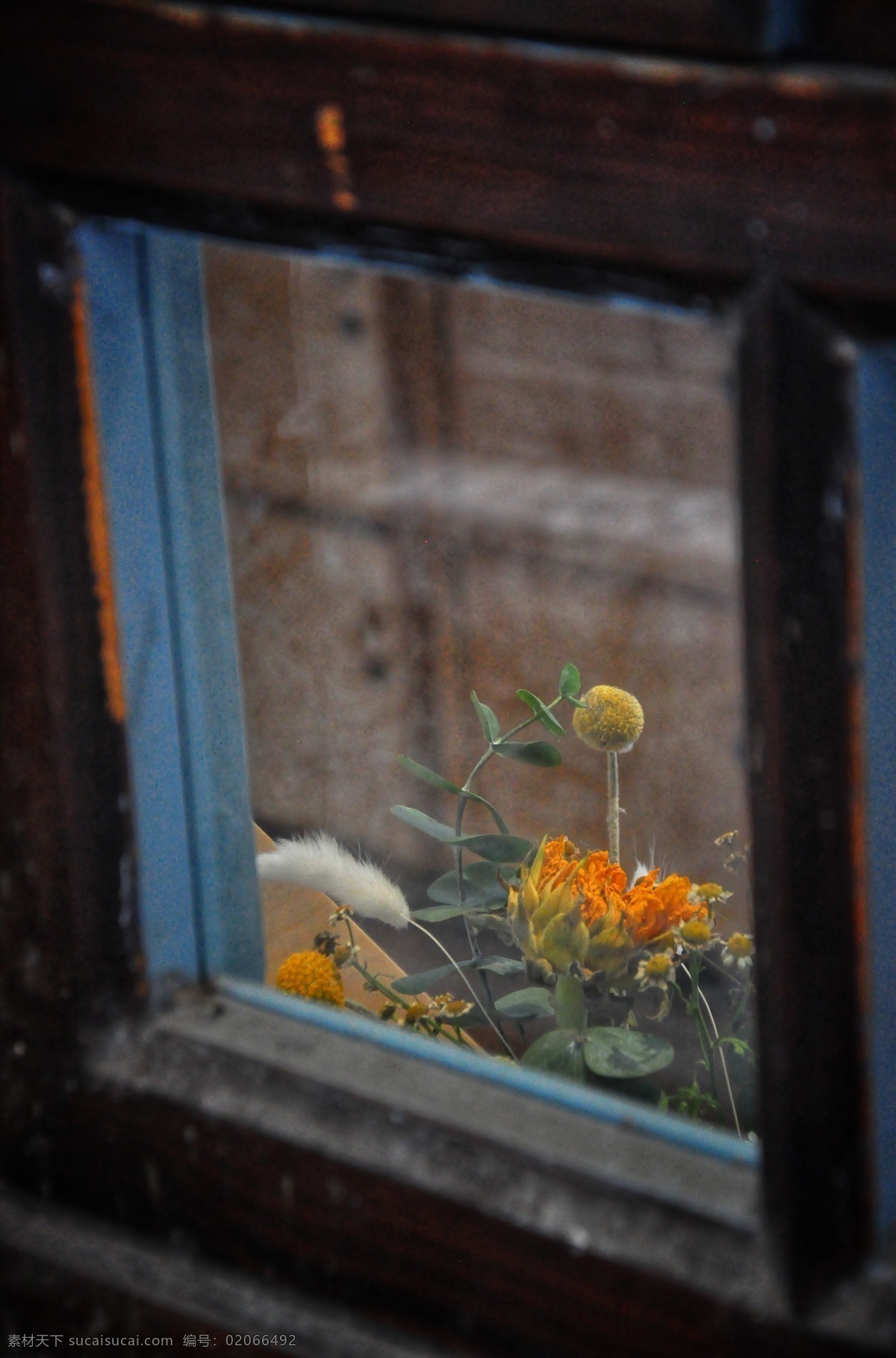 窗外的花朵 窗 花朵 暮色 生机 色彩 文化艺术 美术绘画