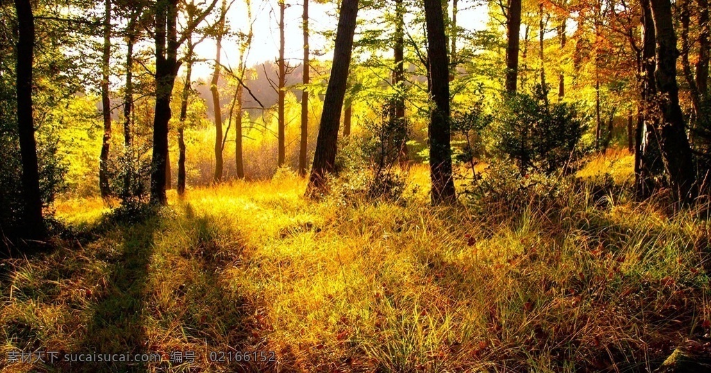 风景图片 风景 桌面壁纸 自然景观 自然风景 壁纸图片 壁纸 山水风景 山水画图片 河流 唯美图片 风景画 风景壁纸 唯美壁纸 唯美素材 背景图片 背景素材 蓝天白云 大自然 高清风景图片 拍摄 生态 绿叶 花 草 植物 植物特写 拍摄素材