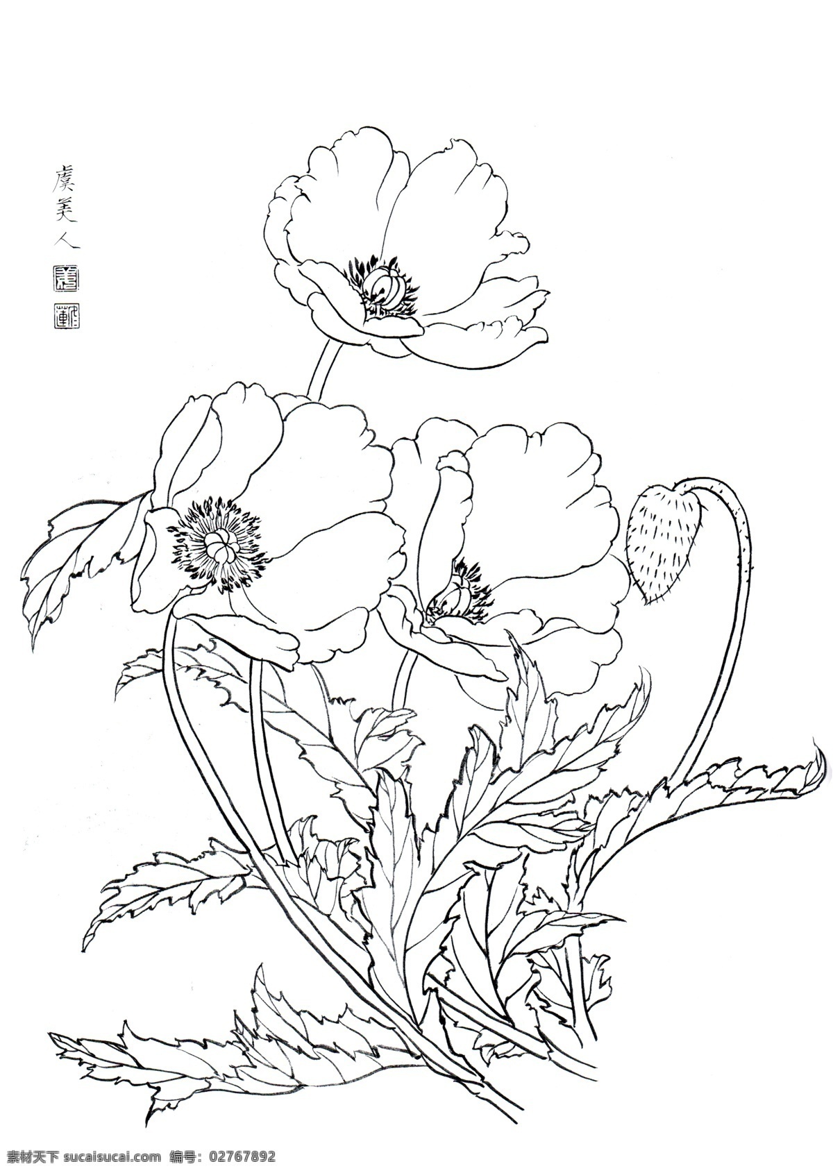 国画 白描 百花 线 稿 虞 美 绘画书法 文化艺术 线稿 虞美人 家居装饰素材 室内装饰用图