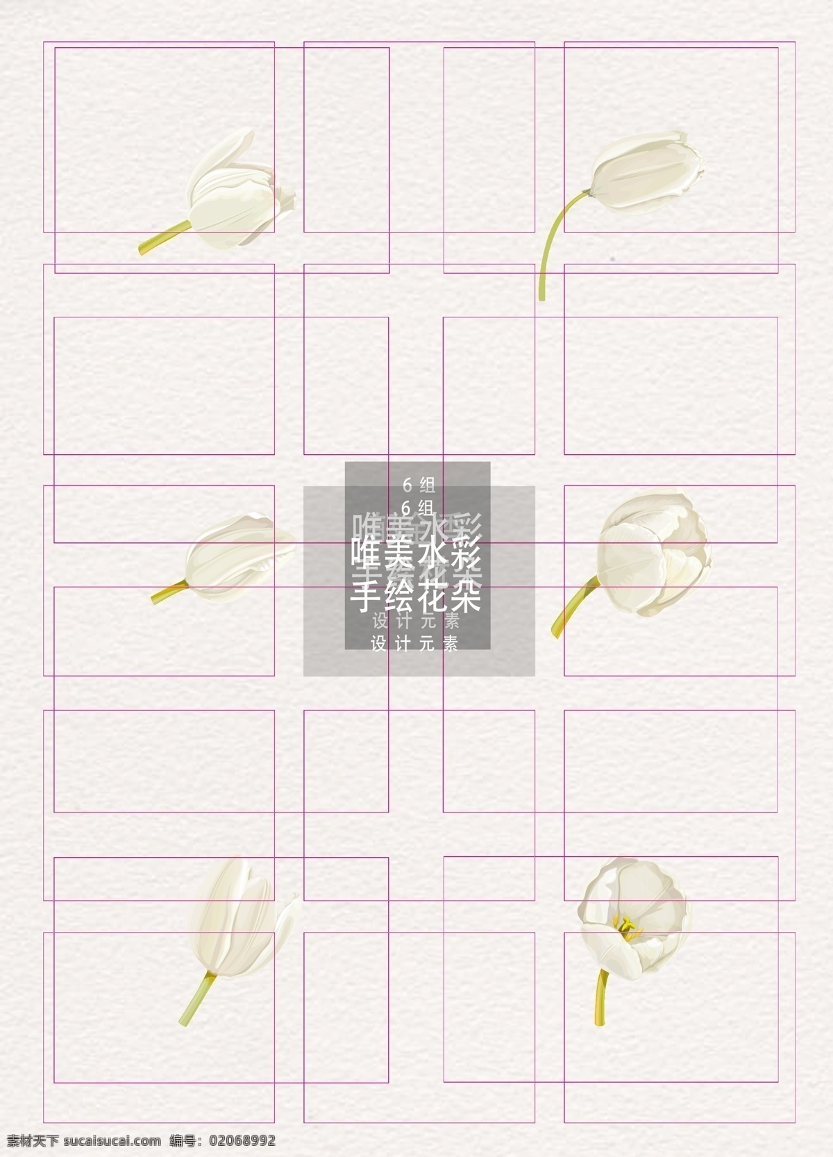 白色 线条 写实 郁金香 设计素材 花朵 花卉 护士节 护士