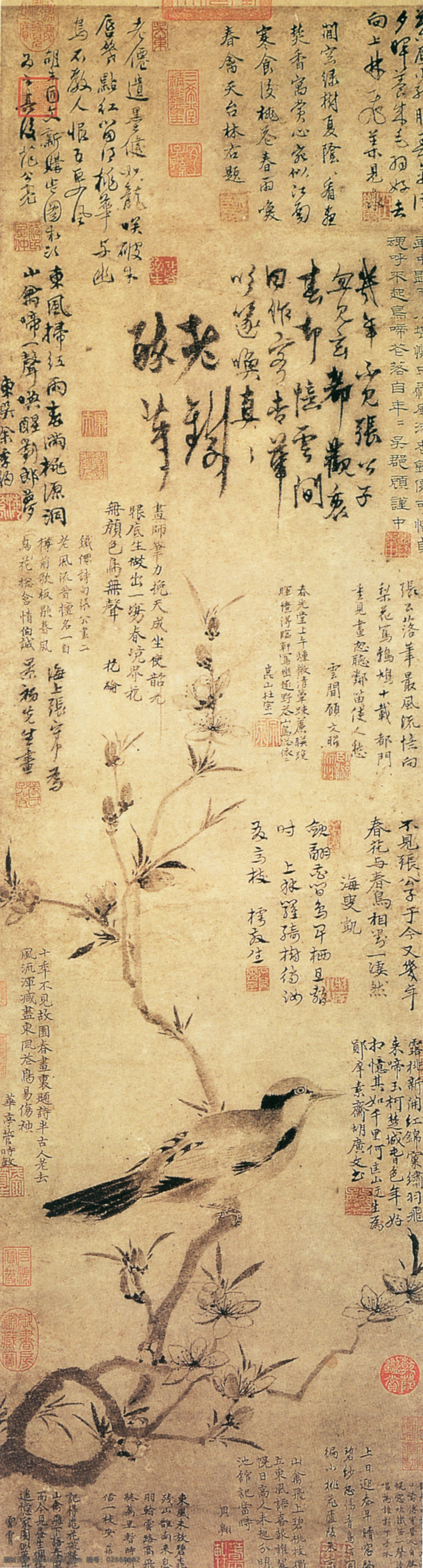 中国 花鸟画 名家 张中 书画 真迹 桃花 幽 鸟 图 古画 花鸟 墨笔 书画真迹 枝叶 桃花幽鸟图 中国花鸟画 名家张中 立轴 纸本 折枝桃花 禽鸟 点写 勾 点 勾染