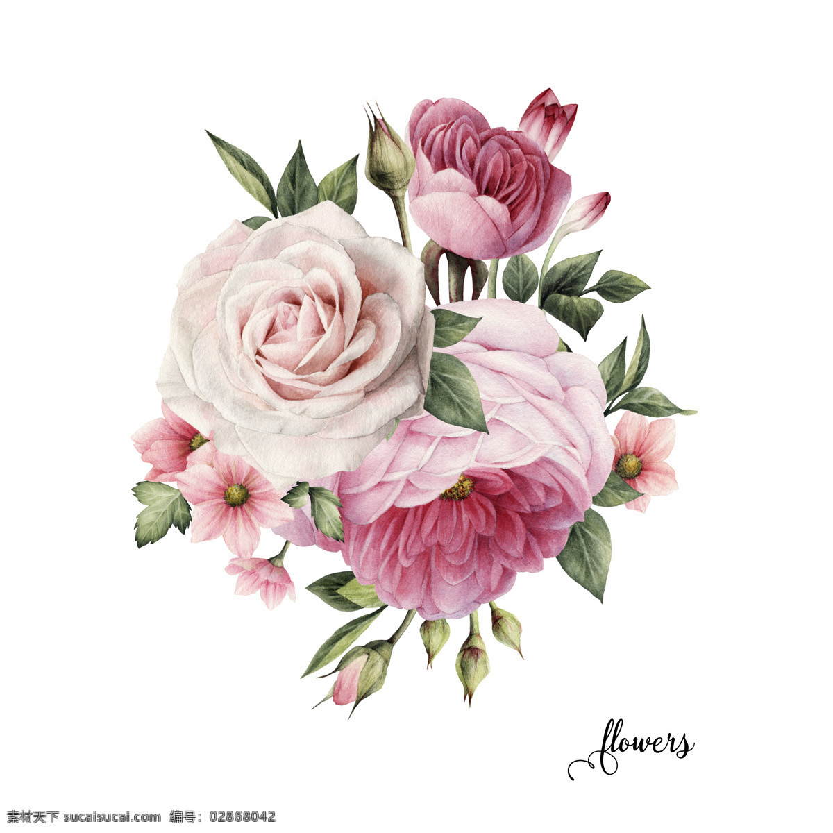 水彩花图片 手绘花 水彩花 铅笔画 月季 玫瑰花 高清 印花 粉色花 花卉 分层