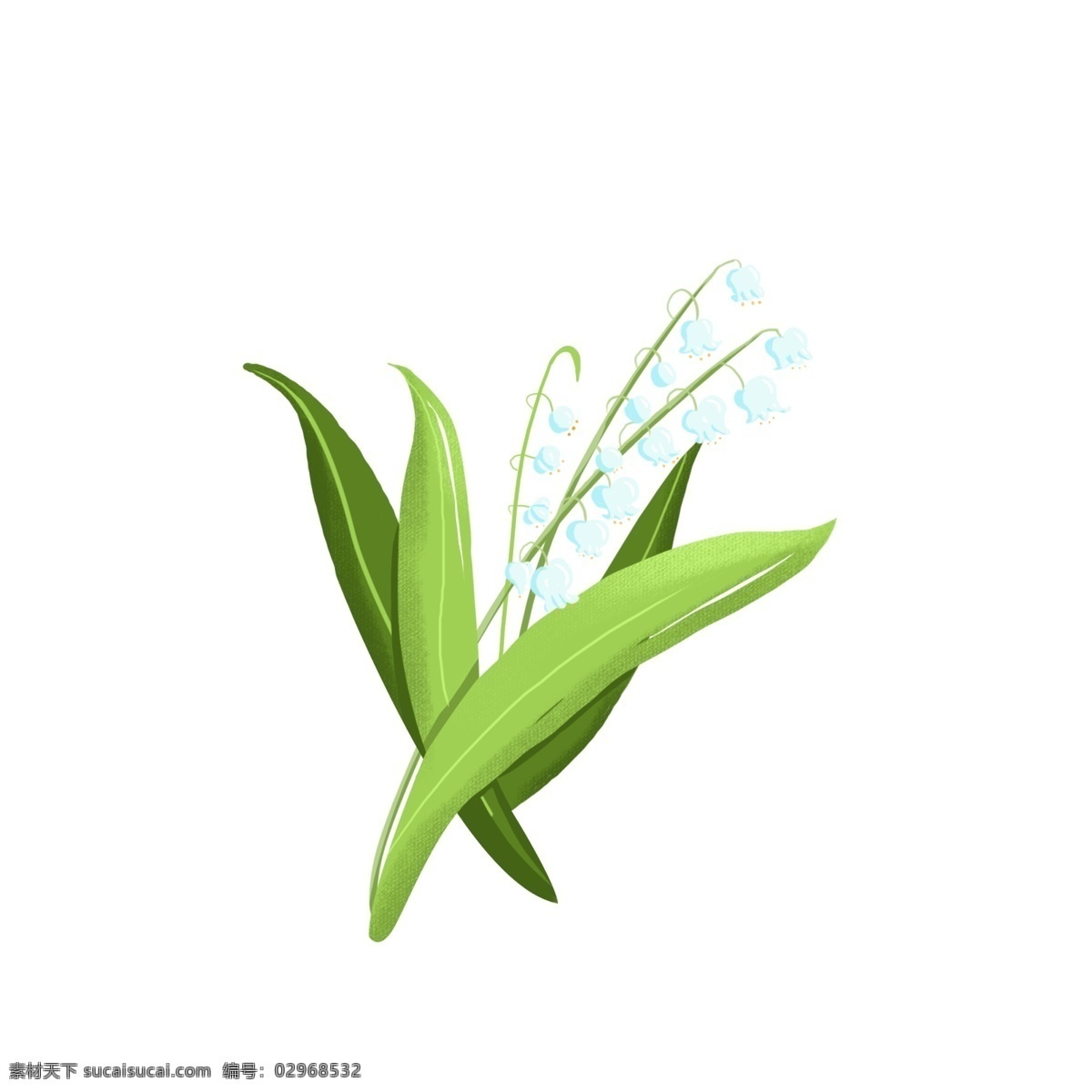 铃 花 花朵 叶子 绿色 水彩 风 植物 元素 铃花 水彩风