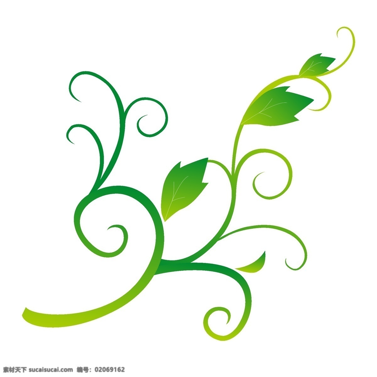唯美 绿色 花 藤 插画 植物 卡通花藤插画 植物插画 绿色的植物 绿色花藤 精美的花藤 创意植物插画
