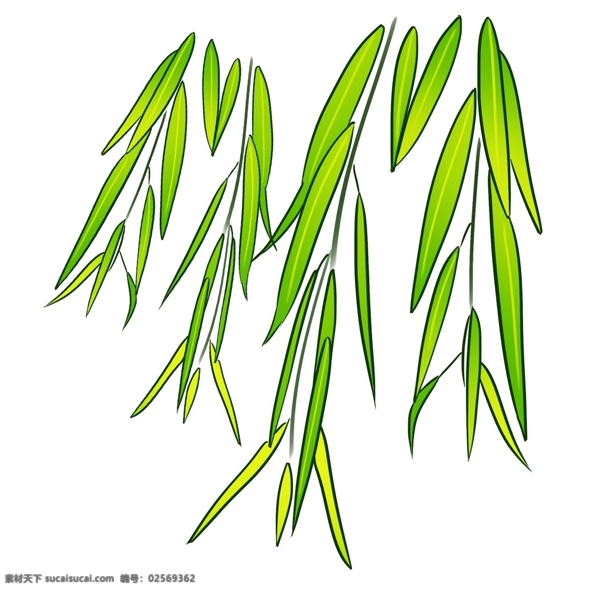 手绘 垂柳 叶子 插画 垂柳叶子 垂柳枝 绿色叶子 插图 垂柳输液 柳树分叉 手绘垂柳叶子 垂柳插画
