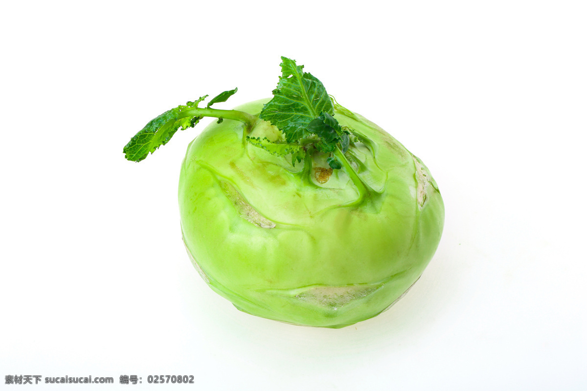 新鲜 蔬菜 白底 图 新鲜蔬菜 有机 天然 营养 健康 无公害 生物世界