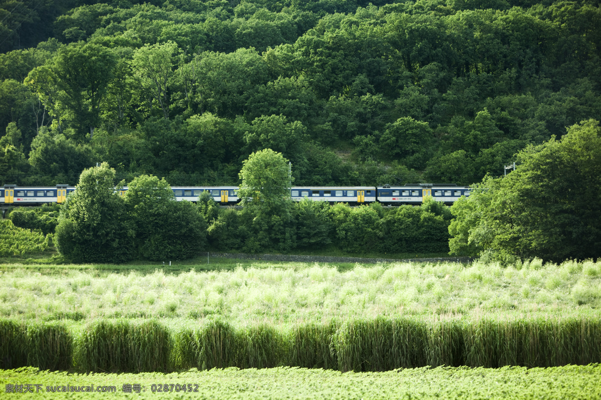 田园 火车 风景 树木 度假 美景 景色 自然景观 自然风景 旅游摄影 旅游 田园风光 风景图片