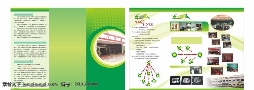 医院三折页 dm单海报 x展架易拉宝 kt板吊旗 宣传单标签