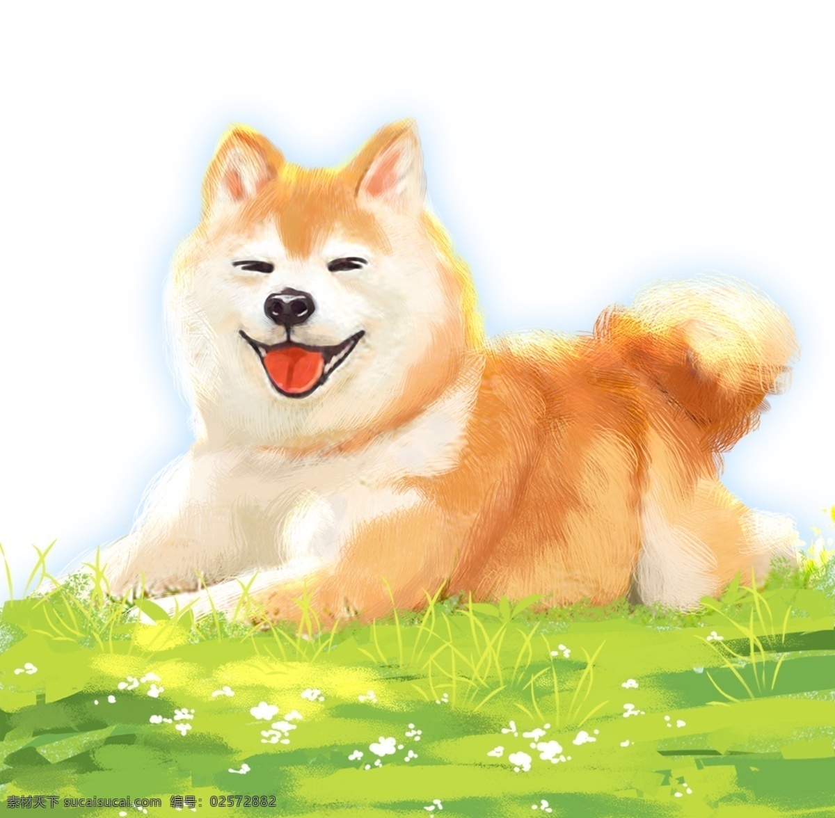 萌 宠 主题 可爱 柴 犬 插画 卡通 手绘 精美 海报插画 广告插画 小清新 简约风 装饰图案 萌宠主题 柴犬