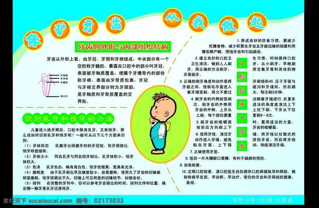 保护 牙齿 保护牙齿 口腔 清洁 矢量图 学生 学校 展板 乳牙 恒牙 口腔卫生 展板模板 矢量 其他展板设计