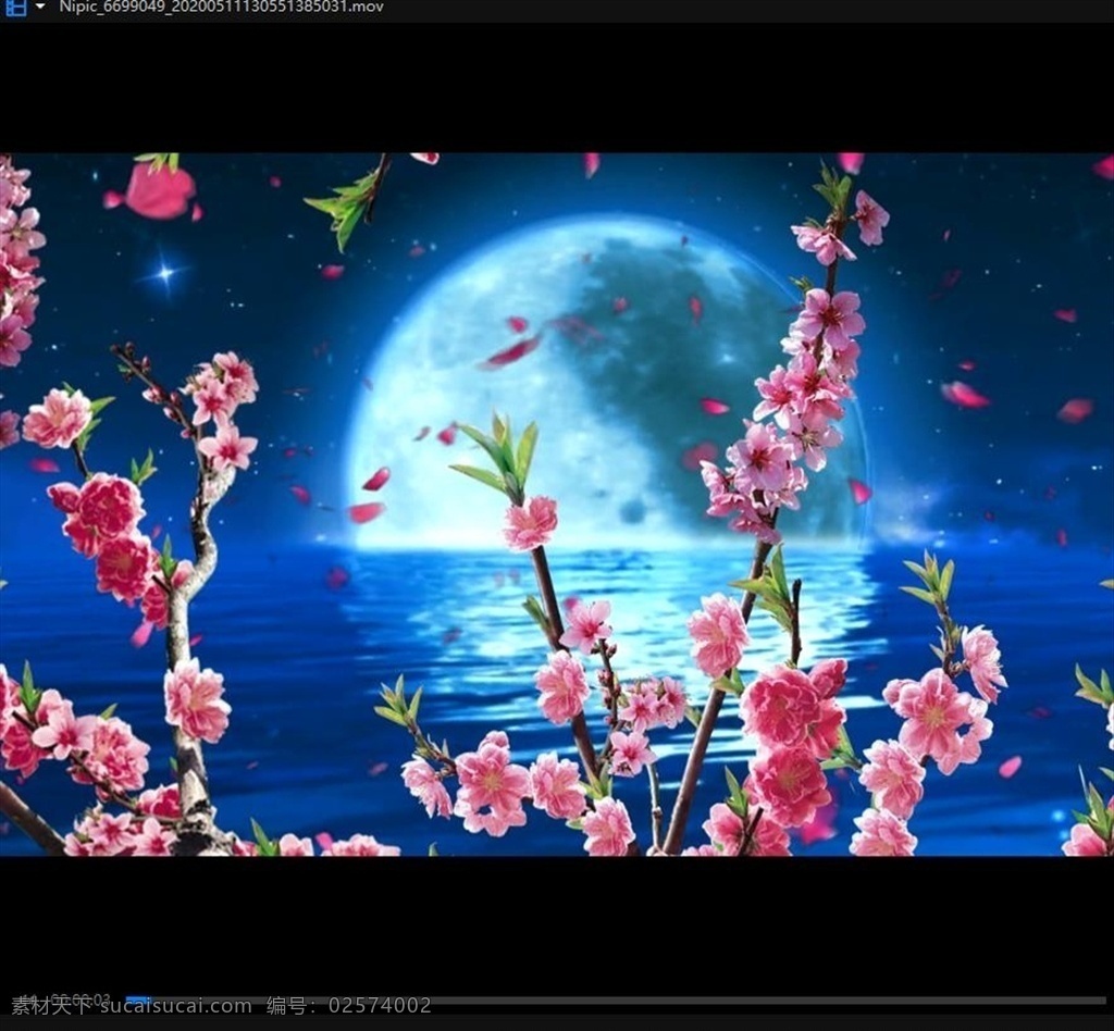 视频剪辑 夜晚星空 夜空 月亮 唯美 粒子 梦幻 影视素材 影视片段 背景视频 舞台背景 晚会背景 节目背景 唯美视频 多媒体 影视编辑 合成背景素材 桃花 mov