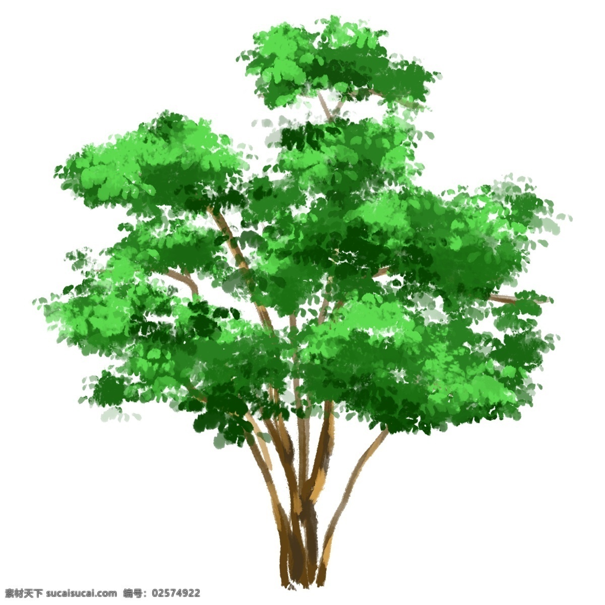 小 清新 森林 绿树 爱护 环境 大树