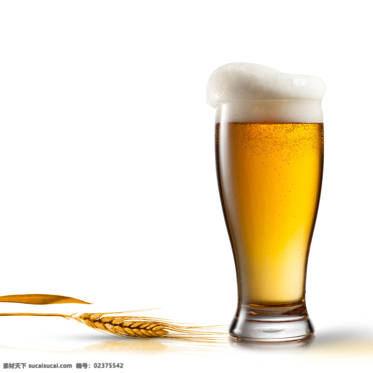 啤酒 啤酒广告 小麦 小麦啤酒 啤酒瓶 啤酒杯 广告摄影 果汁饮品 餐饮美食 饮料酒水