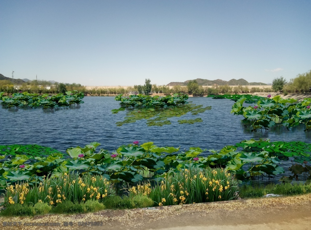 丽 湖 漫水桥 上游 园林景观效果 湖面景观 园林效果图