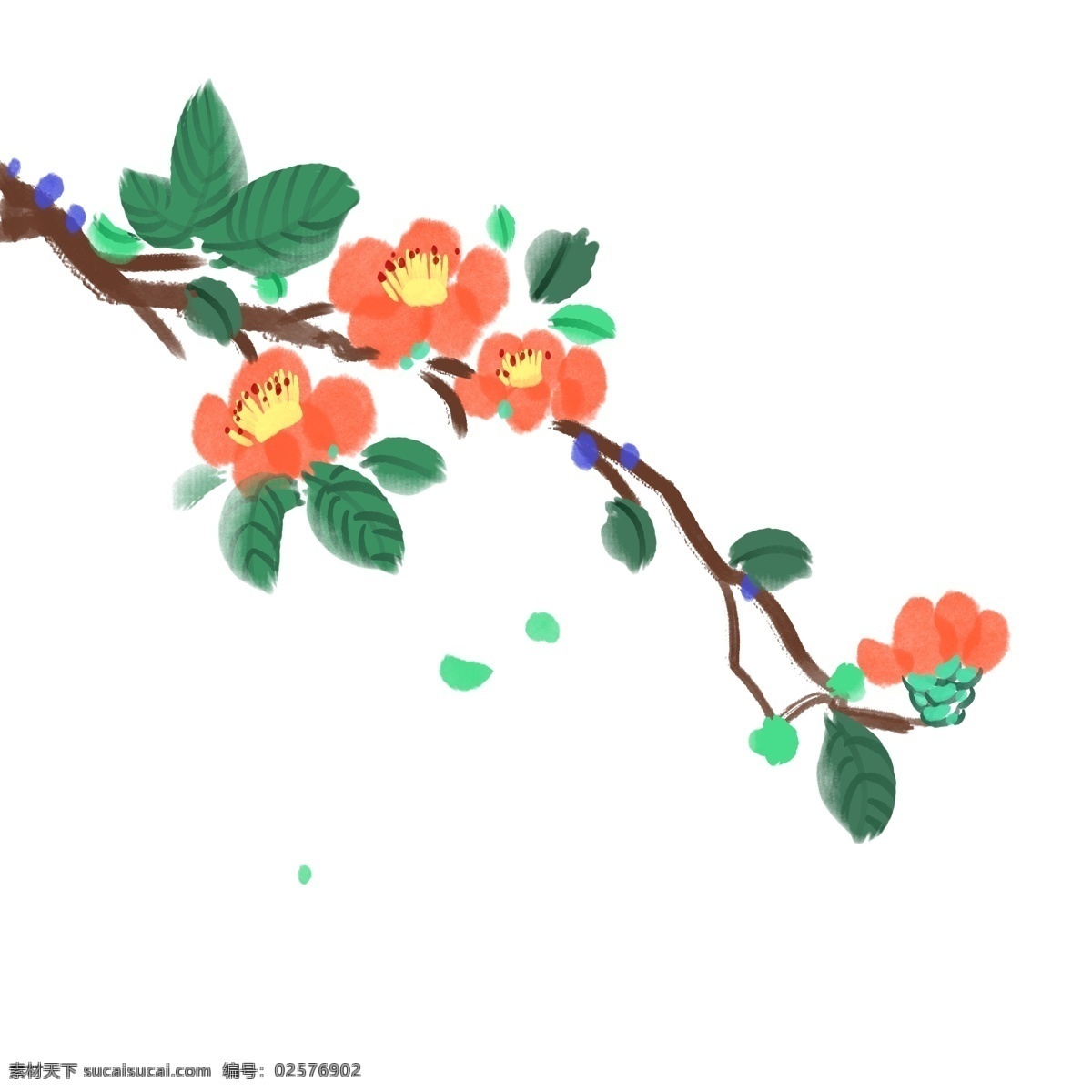 植物 山茶花 花朵 红色