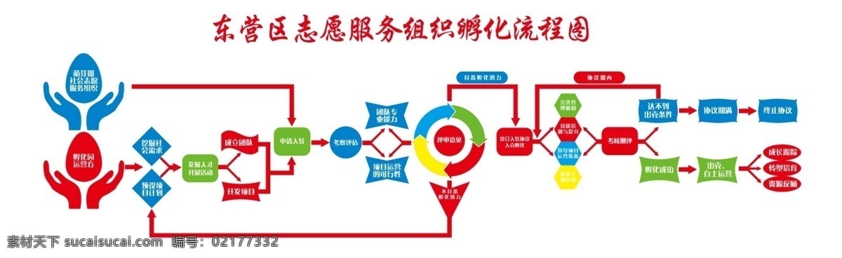 孵化流程图 孵化 流程 过程 志愿者 服务