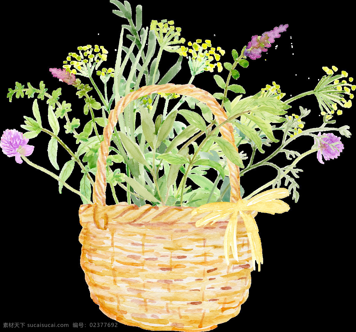 竹篮 花卉 卡通 透明 装饰 设计素材 背景素材
