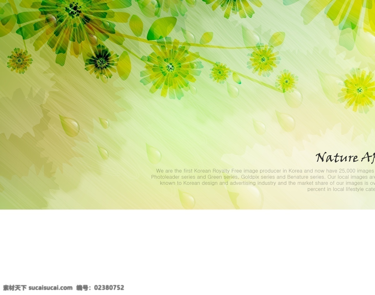 底图 底纹背景 底纹边框 古典 贺卡 花朵 花纹 花纹矢量图 华丽 绿色 自然 梦幻花纹 时尚花纹 画册元素 摘要 邀请 装饰 海报 展板 卡片 矢量 海报背景图