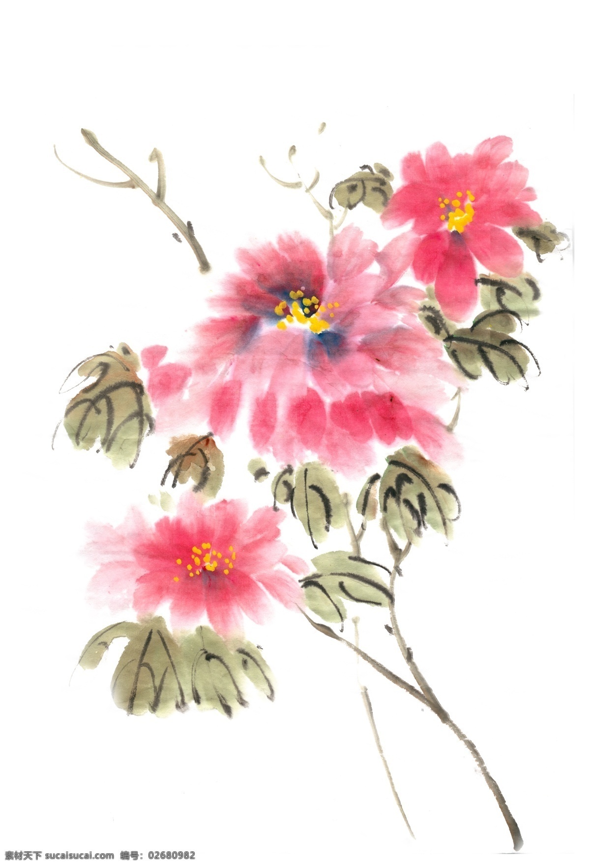 水墨 牡丹花 牡丹插画 手绘牡丹 手绘牡丹插画 牡丹国画 牡丹花国画 水彩牡丹花 水墨牡丹 卡通牡丹 牡丹线稿 矢量牡丹 矢量牡丹插画 手绘矢量牡丹 牡丹简笔画 牡丹素材 牡丹元素 牡丹背景 粉色花卉 手绘花卉 水彩花卉 原创手绘 写意牡丹 国色天香 富贵呈祥 手绘 牡丹 卡通设计