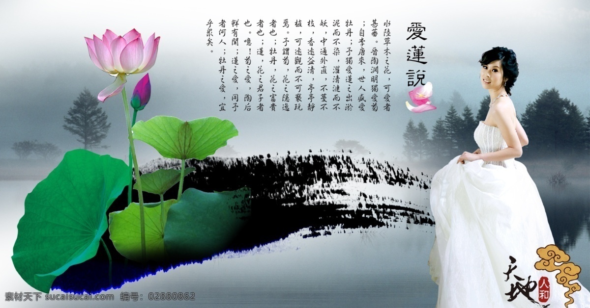 荷花 仙子 苫勺铀夭南略 psd源文件