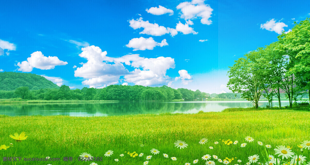 草地蓝天图片 草地 蓝天 背景 花草 清澈的湖水 白云 植物 树木 山水 风景 景色 绿色 生机 生命力 清爽 活力