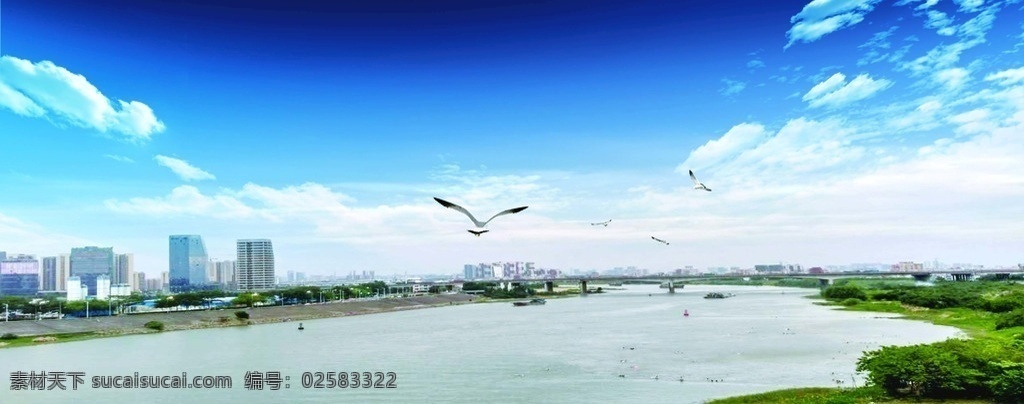 佛山 季 华 大桥 景观 河 城市天空 季华大桥景观 河流 江河 鸟 建筑 城市景观 自然景观 自然风光