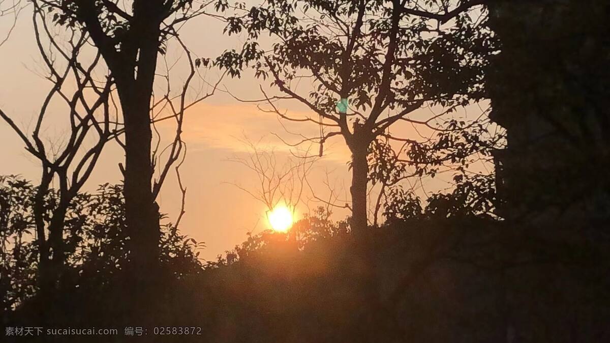 夕阳森林图片 树木 小城 夕阳 蓝天白云 青山绿水 自然景观 自然风景