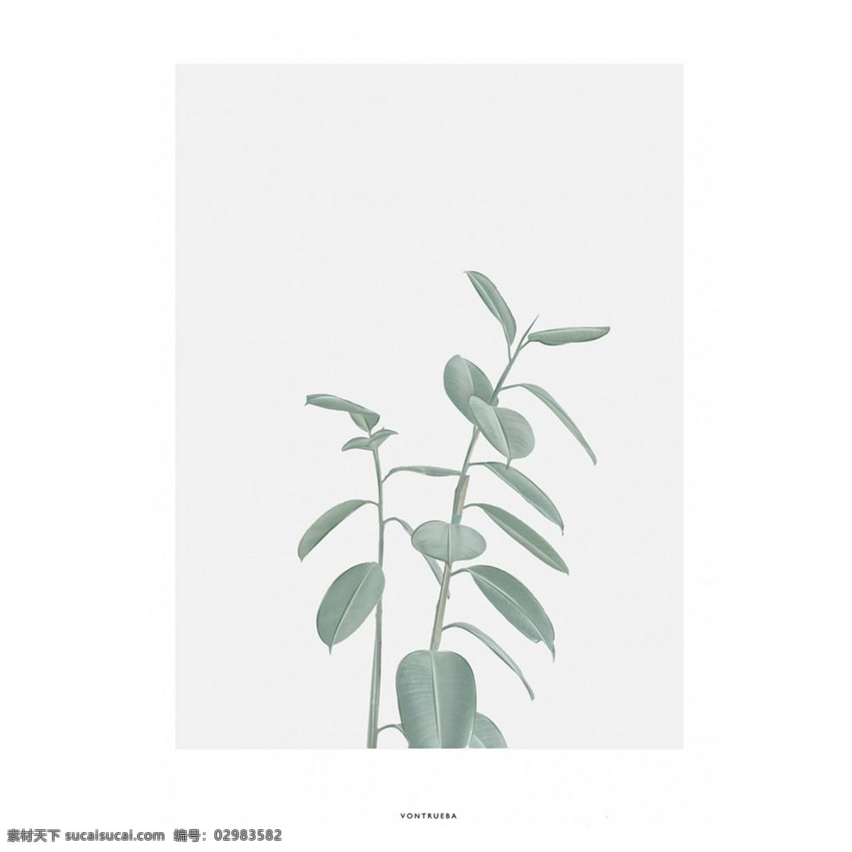 手绘 壁画 装饰 清新 植物 装饰素材