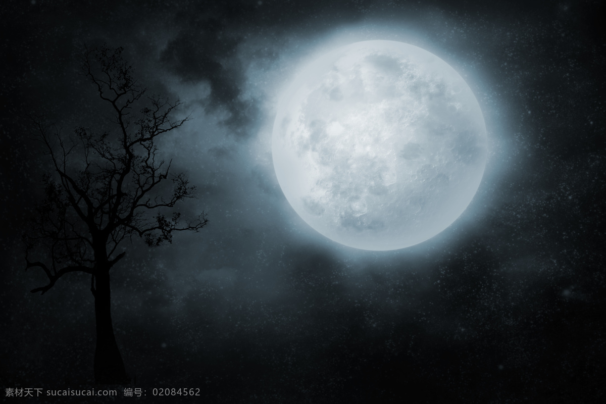夜空圆月 夜空 月光 星空 月光下 照亮 明亮的夜晚 黑暗的天空 月亮 夜晚 圆月 七夕素材 七夕节 情人节 万圣节 万圣节素材 树 天空 黑夜月亮 满月 云 云景 风 自然景观 自然风景
