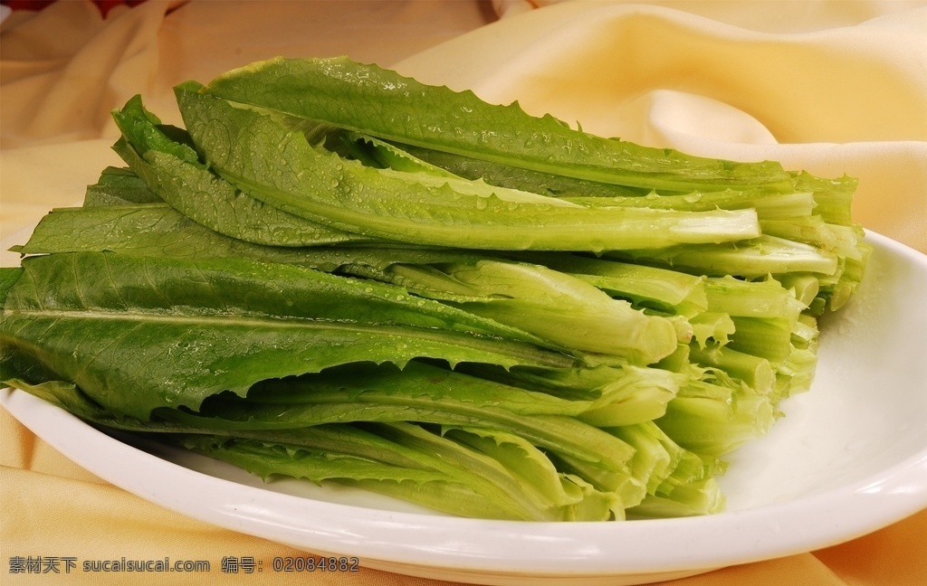 油麦菜 美食 传统美食 餐饮美食 高清菜谱用图