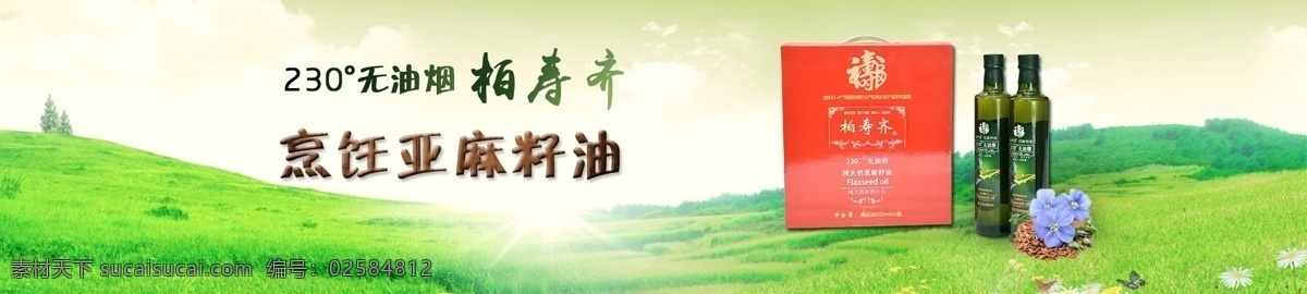 亚麻 籽 油 产品 横幅 冷 榨 食用油 国珍亚麻籽油 亚麻籽油 植物油 绿色