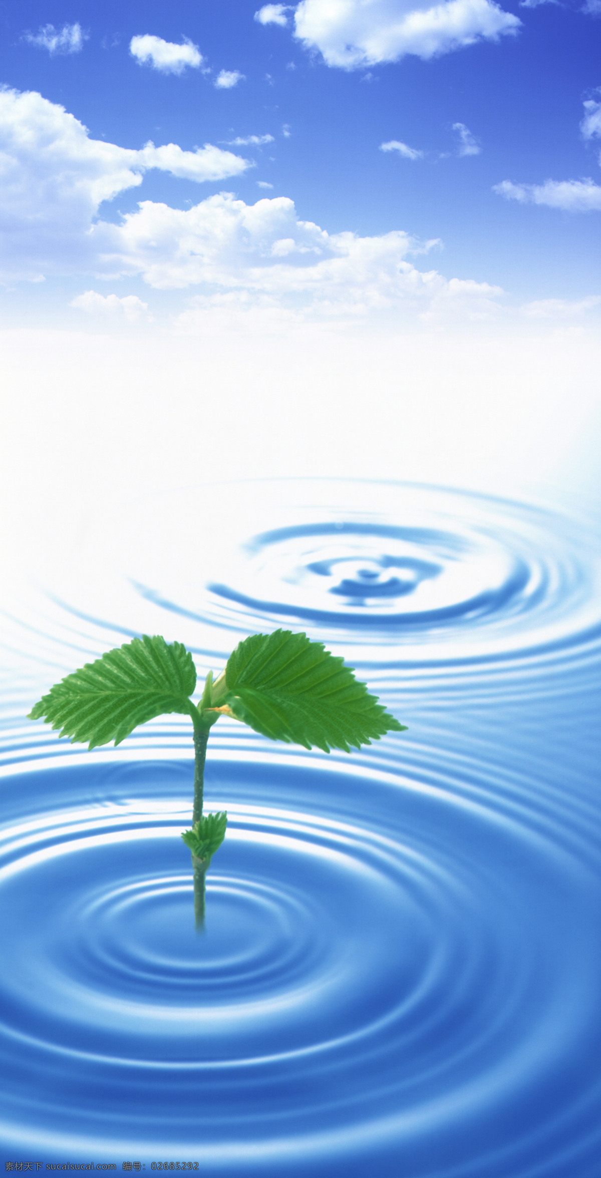 水 波纹 白云 空气 绿叶 水滴 水纹 天空 阳光