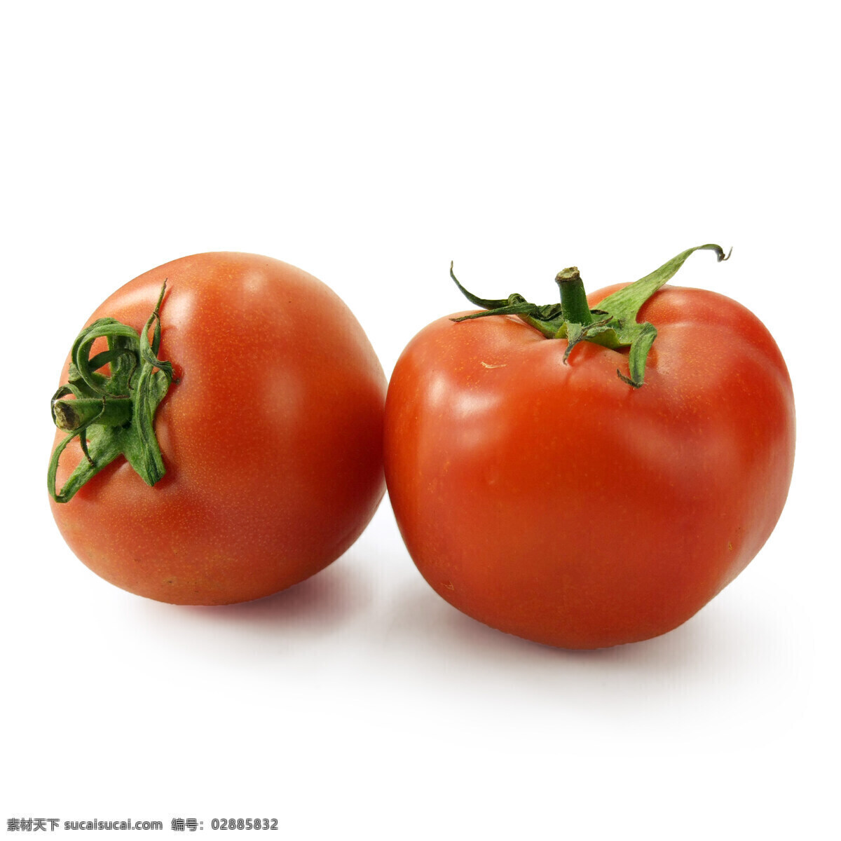 西红柿 番茄 西红柿图片 西红柿素材 西红柿摄影 生物世界 蔬菜