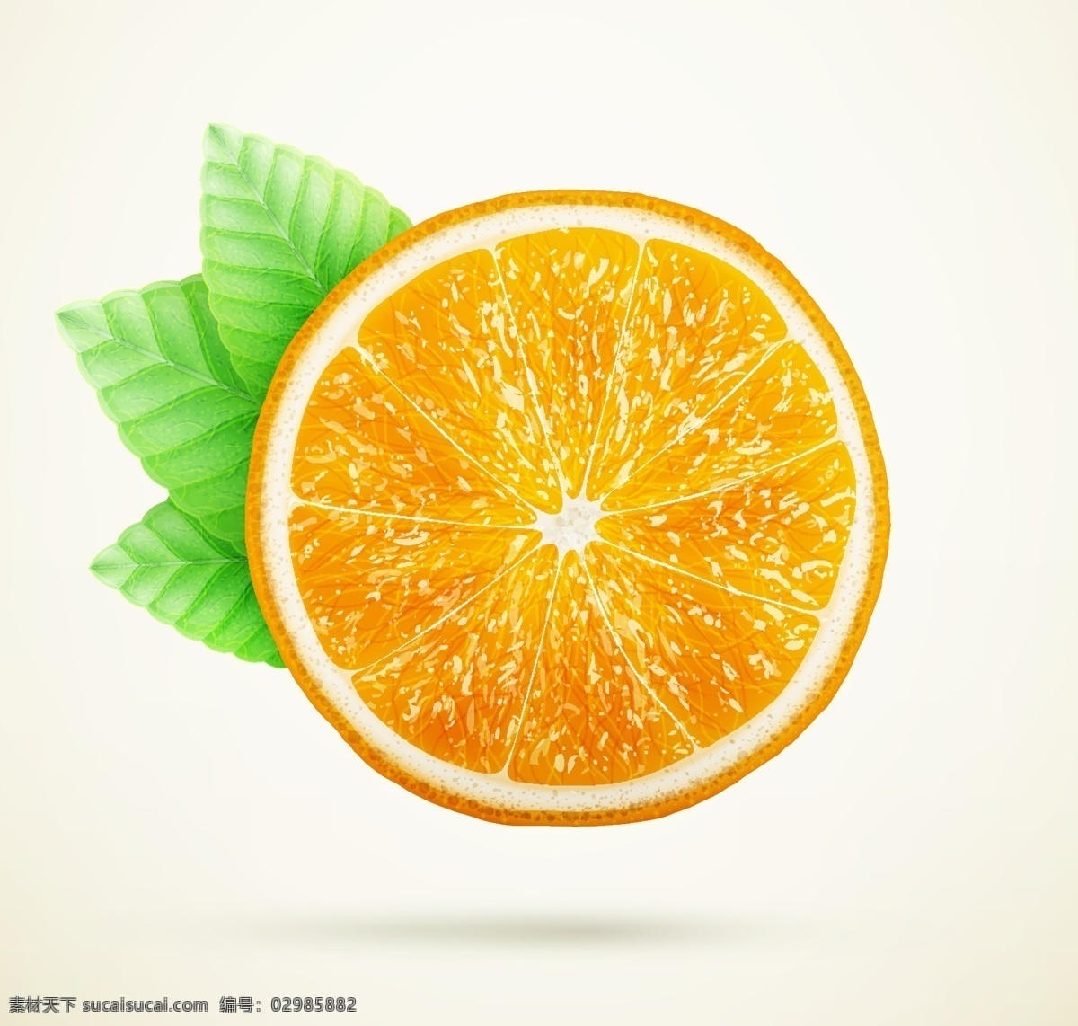 橙子切片 橙子片 橙子 橙汁 橙汁广告 水果切片 果汁 饮料
